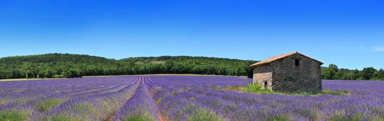 Nos Jours Heureux Appartement Barjac  Buitenkant foto
